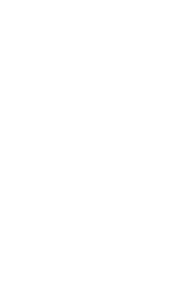 Snowflakes